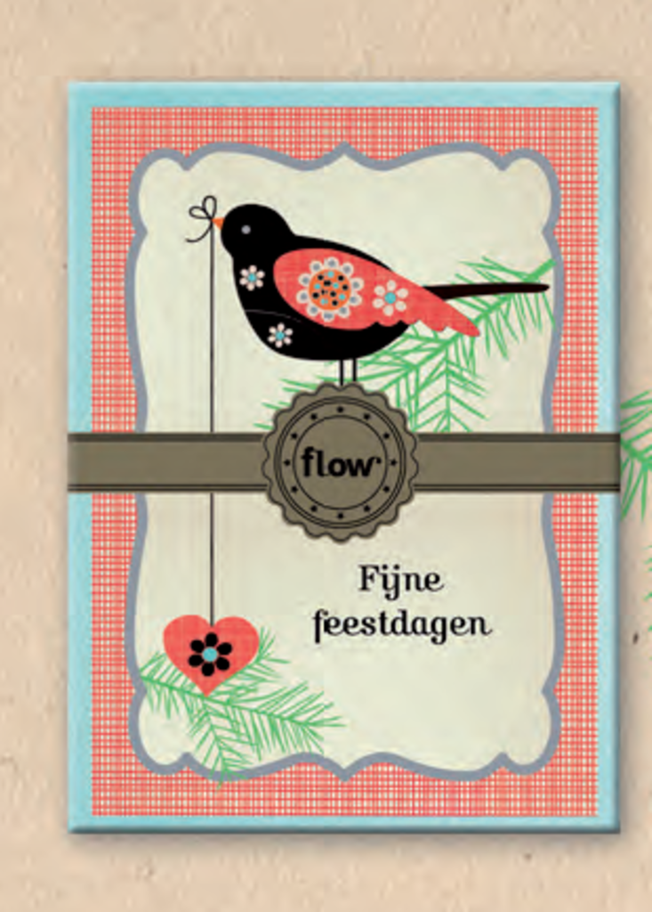 FLOW Kerstkaarten Elisandra & Studio 100 Meerleuks