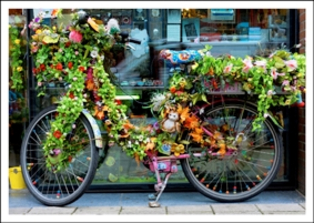 solo gijzelaar sessie Ansichtkaart kiek fiets met bloemen | Meerleuks